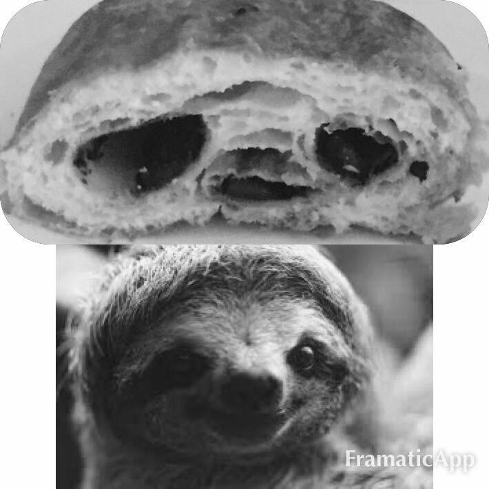 Detail Sloth Or Chocolate Croissant Nomer 19