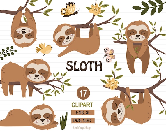 Detail Sloth Png Nomer 42