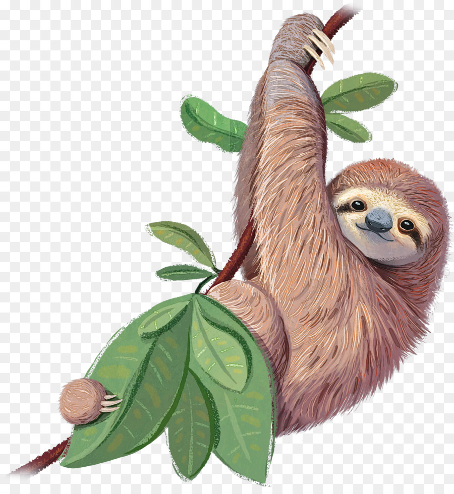 Detail Sloth Png Nomer 7