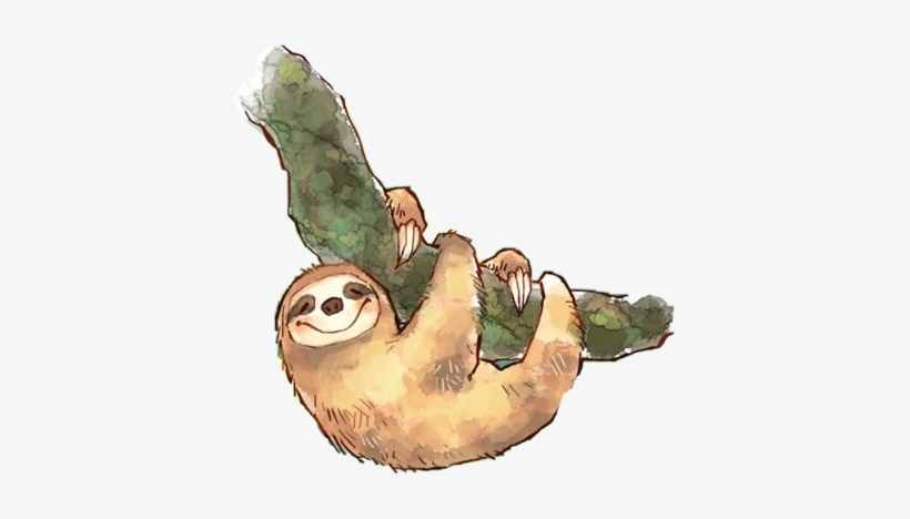 Detail Sloth Png Transparent Nomer 13