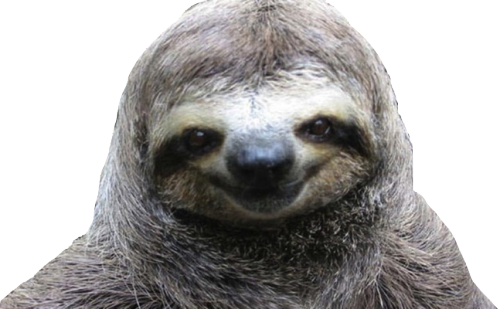 Detail Sloth Png Transparent Nomer 19