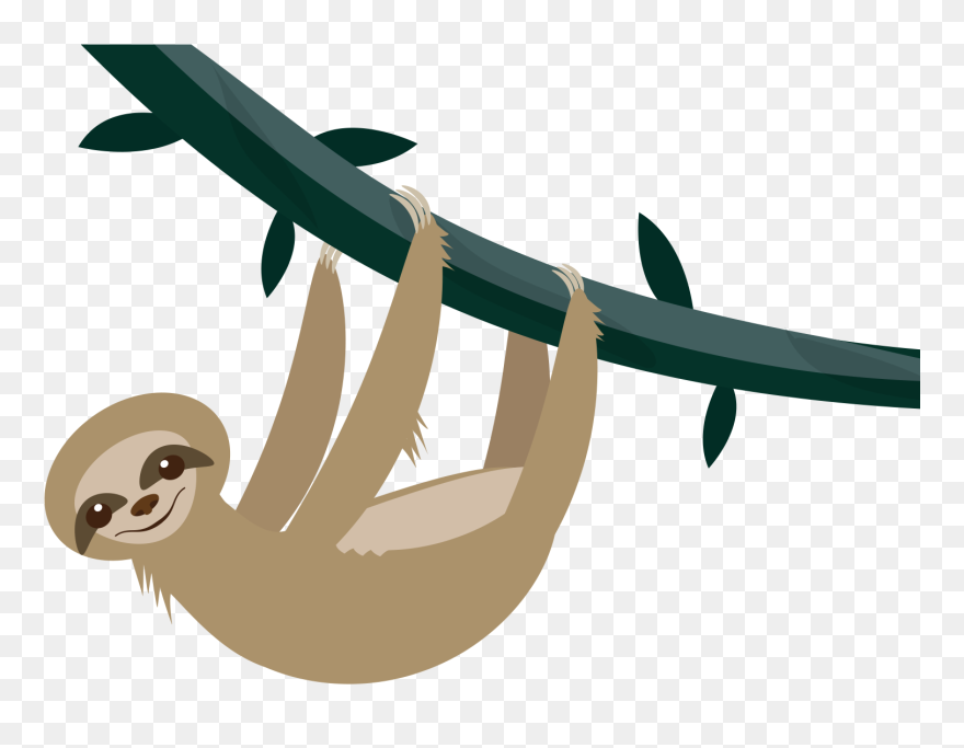 Detail Sloth Png Transparent Nomer 21