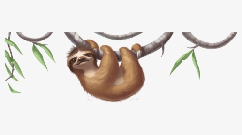 Detail Sloth Png Transparent Nomer 25