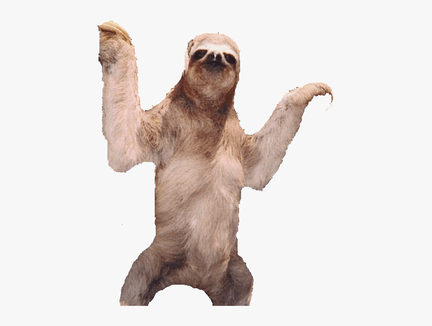 Detail Sloth Png Transparent Nomer 4