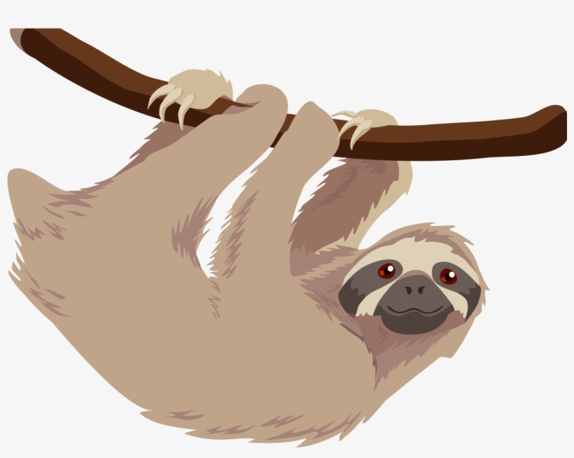 Detail Sloth Png Transparent Nomer 33