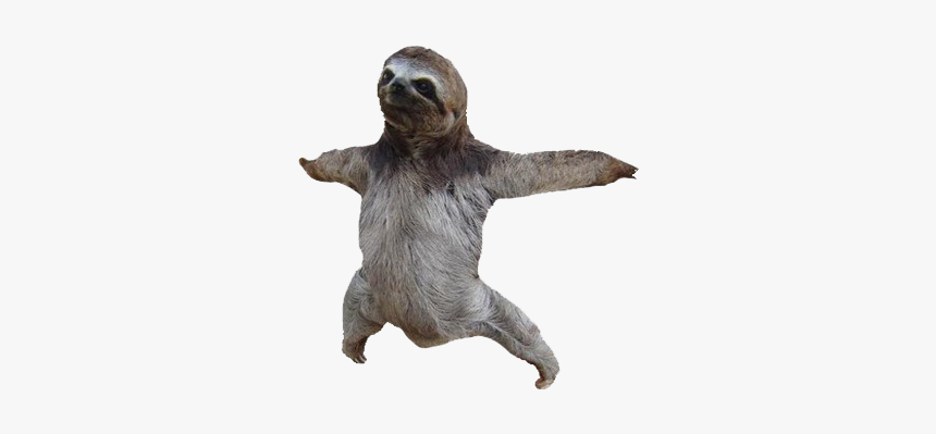 Detail Sloth Png Transparent Nomer 9