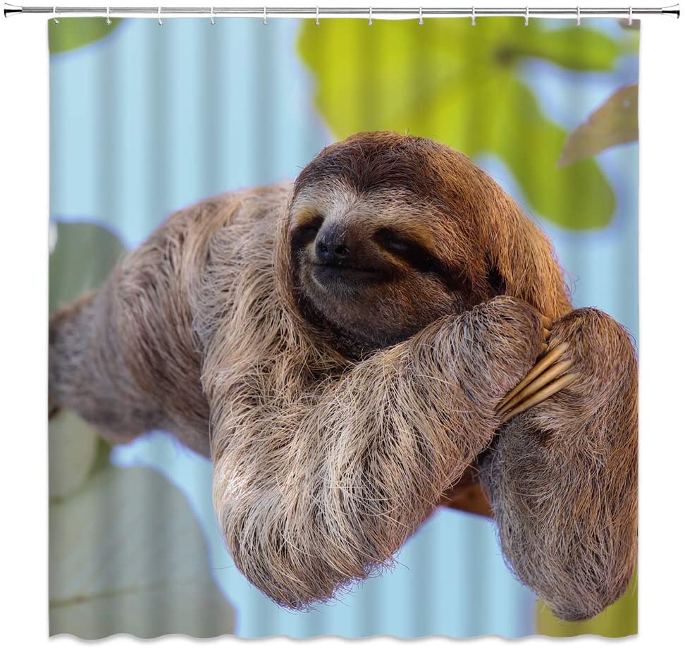 Detail Sloth Shower Curtain Hooks Nomer 43