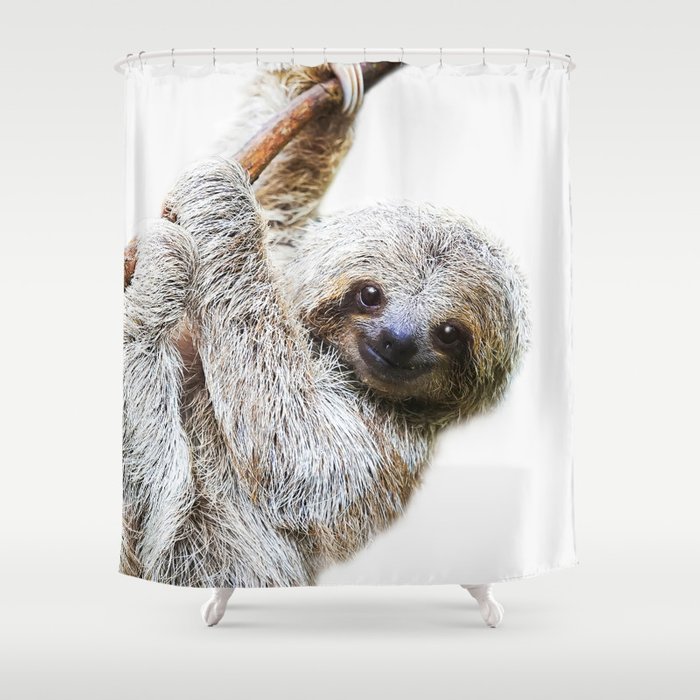 Detail Sloth Shower Curtain Hooks Nomer 54