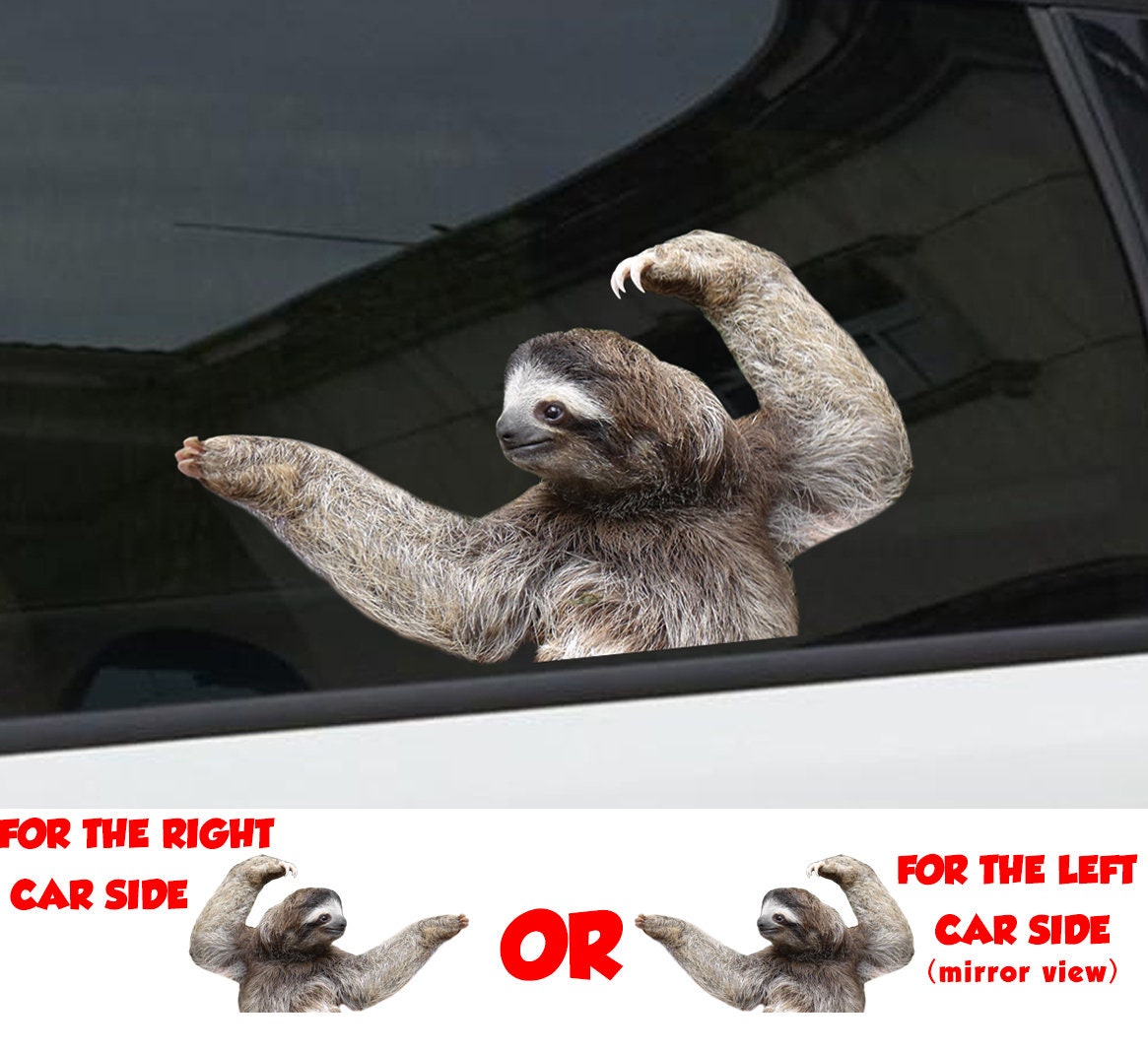 Detail Sloth Sticker For Car Window Nomer 6