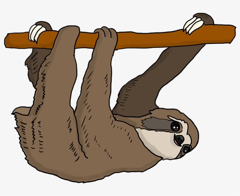 Detail Sloth Transparent Nomer 43