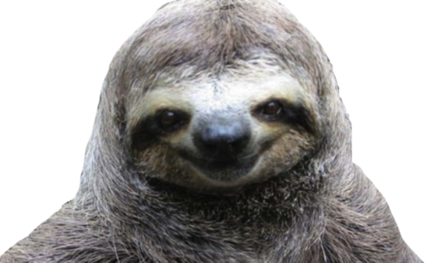 Detail Sloth Transparent Background Nomer 11
