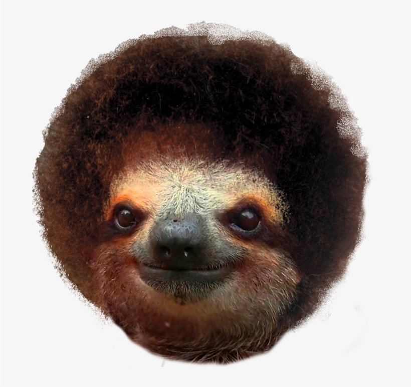 Detail Sloth Transparent Background Nomer 19