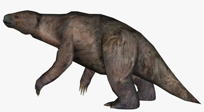 Detail Sloth Transparent Background Nomer 50