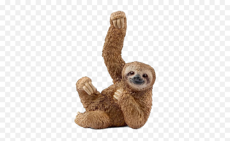 Detail Sloth Transparent Background Nomer 51
