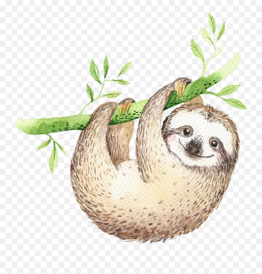 Detail Sloth Transparent Background Nomer 53
