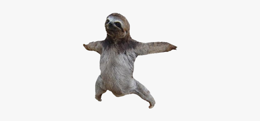 Detail Sloth Transparent Background Nomer 5