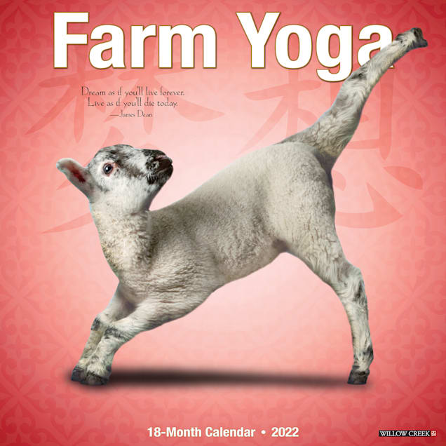 Detail Sloth Yoga Calendar Nomer 19
