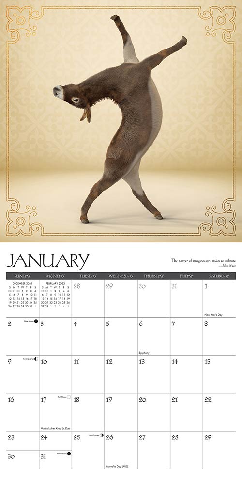 Detail Sloth Yoga Calendar Nomer 42