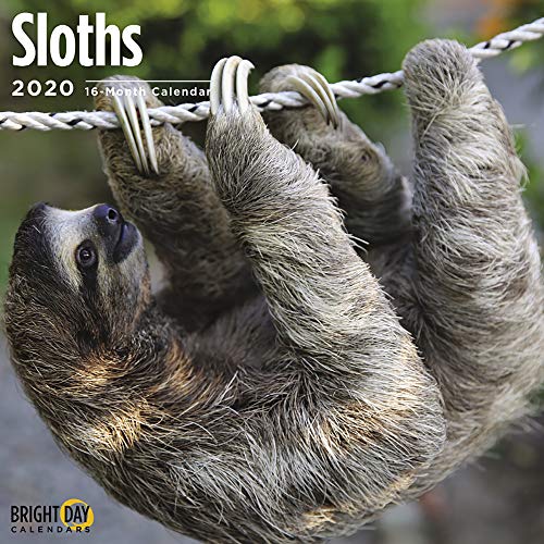 Detail Sloth Yoga Calendar Nomer 50