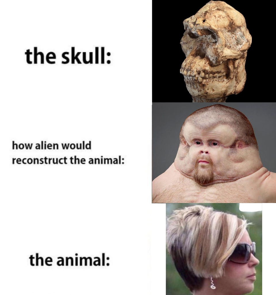 Detail Small Brain Meme Nomer 19
