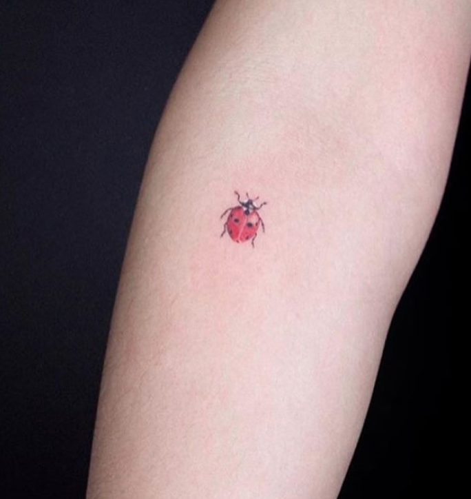 Detail Small Ladybug Tattoos Nomer 3