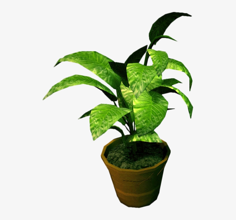 Detail Small Plant Png Nomer 13