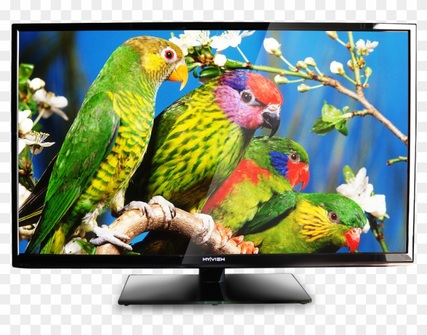 Detail Smart Tv Png Nomer 52