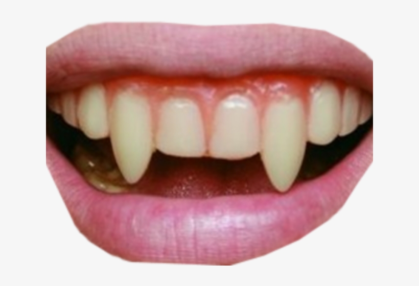 Detail Smile Teeth Png Nomer 51