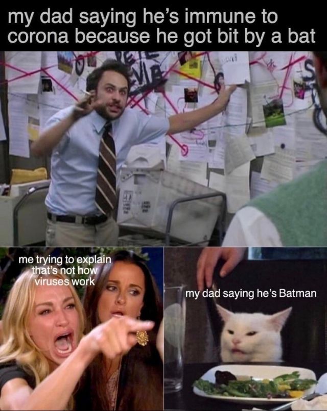 Detail Woman Yelling At Cat Meme Nomer 27