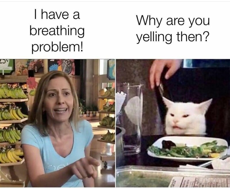 Detail Woman Yelling At Cat Meme Nomer 37