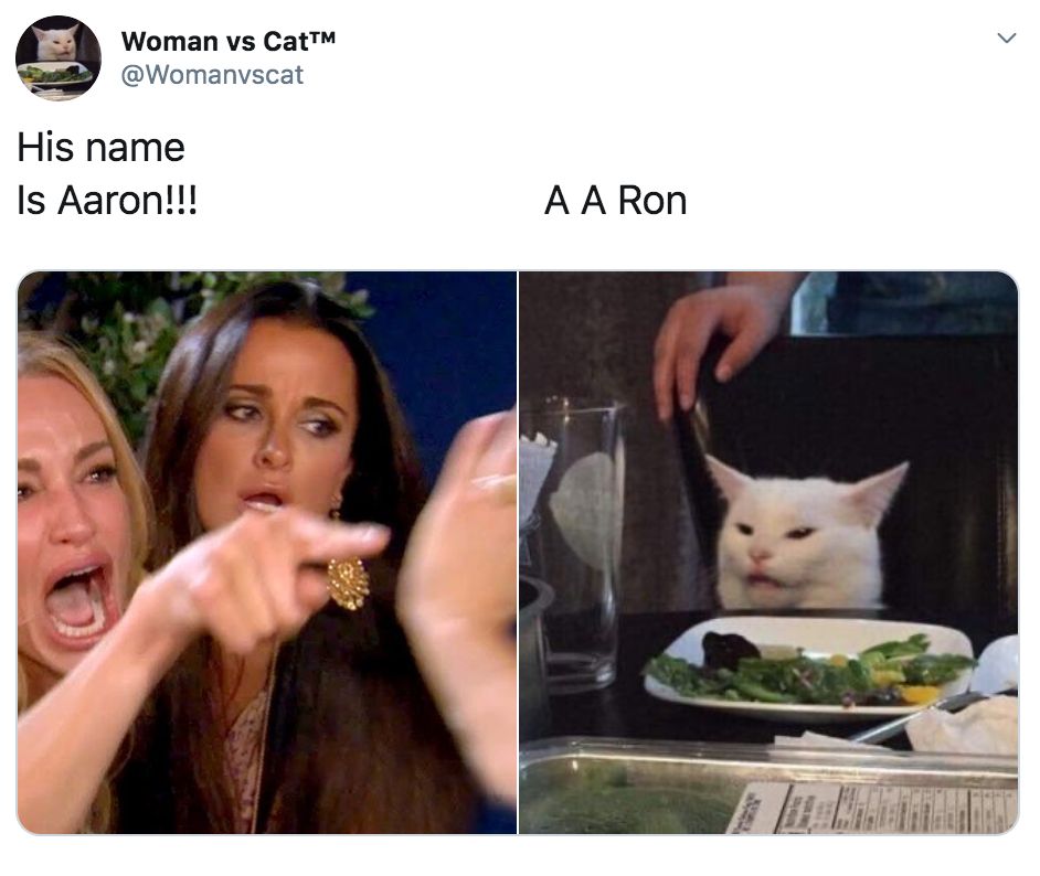 Detail Woman Yelling At Cat Meme Nomer 6