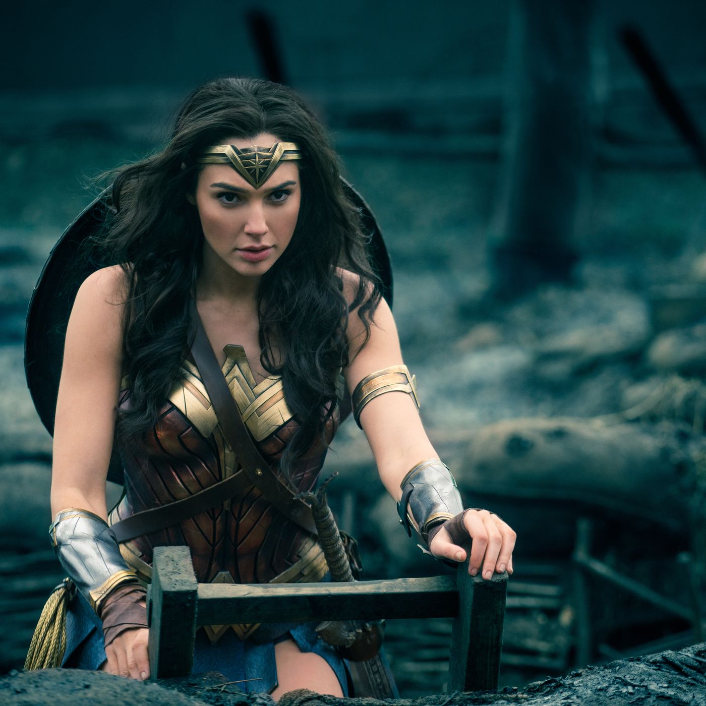 Download Wonderwoman Images Nomer 8