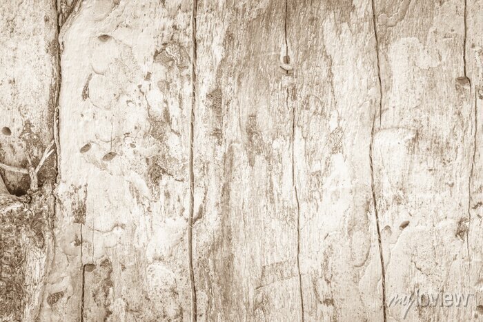 Detail Wood Rustic Texture Nomer 45