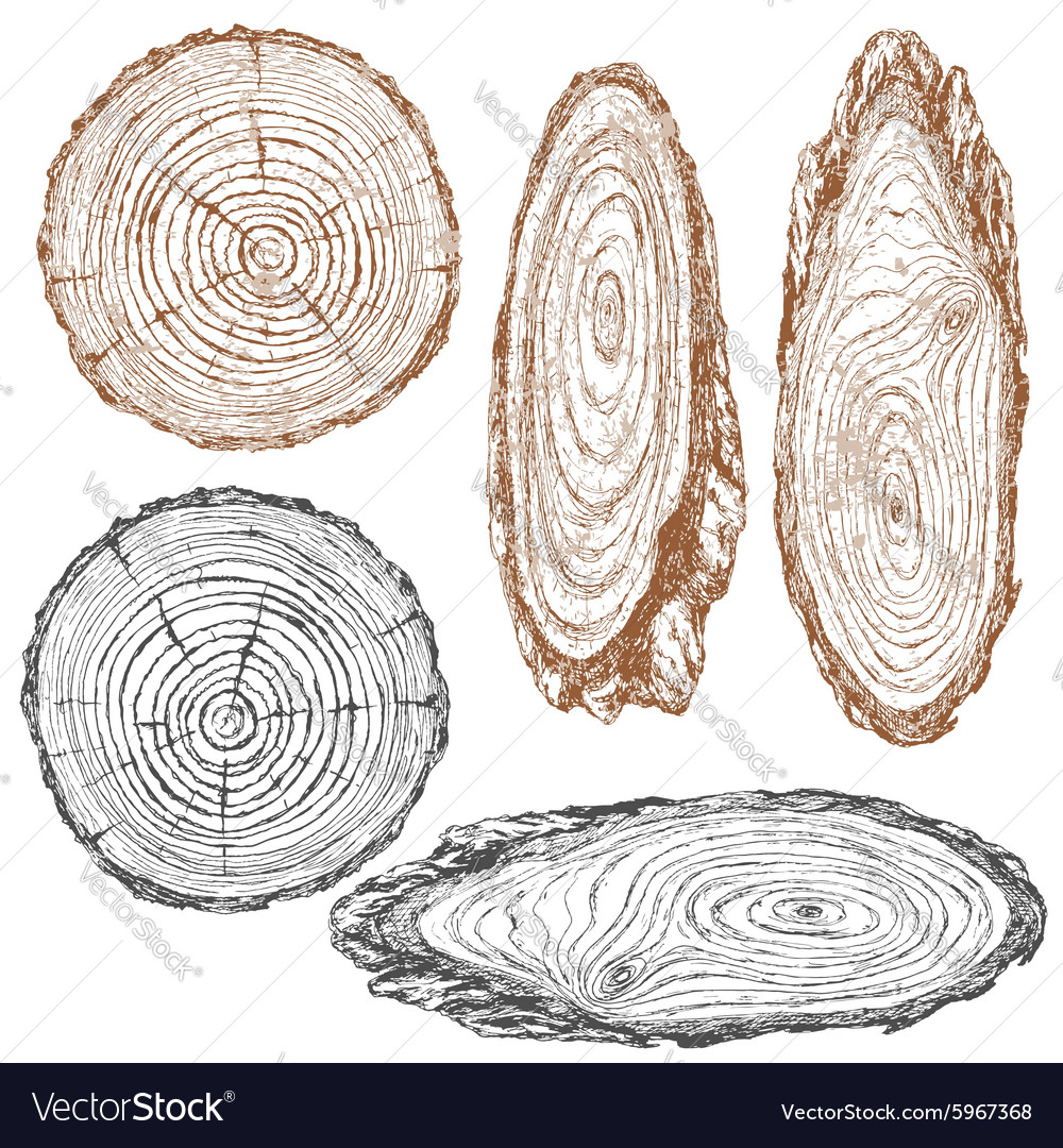 Detail Wood Texture Sketch Nomer 4