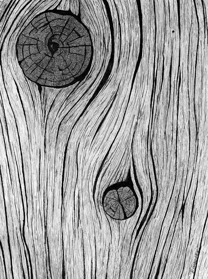 Detail Wood Texture Sketch Nomer 33