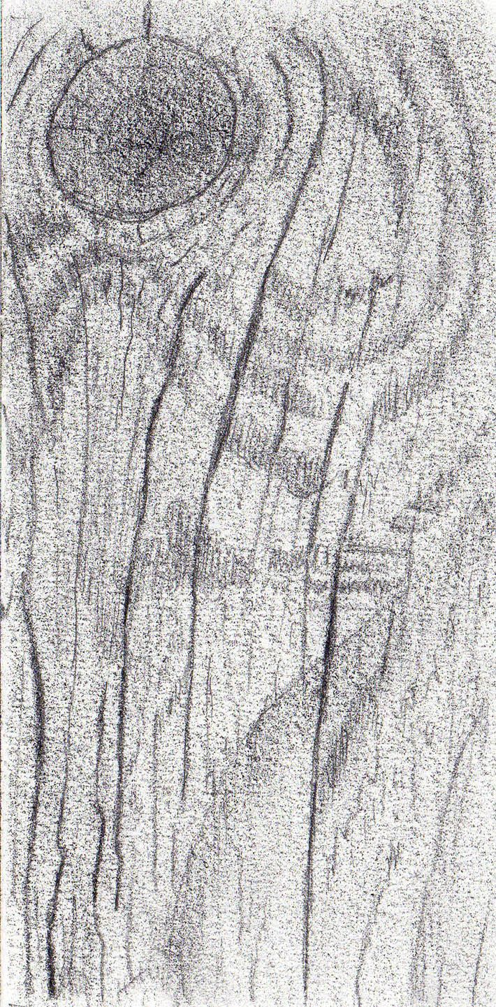 Detail Wood Texture Sketch Nomer 44