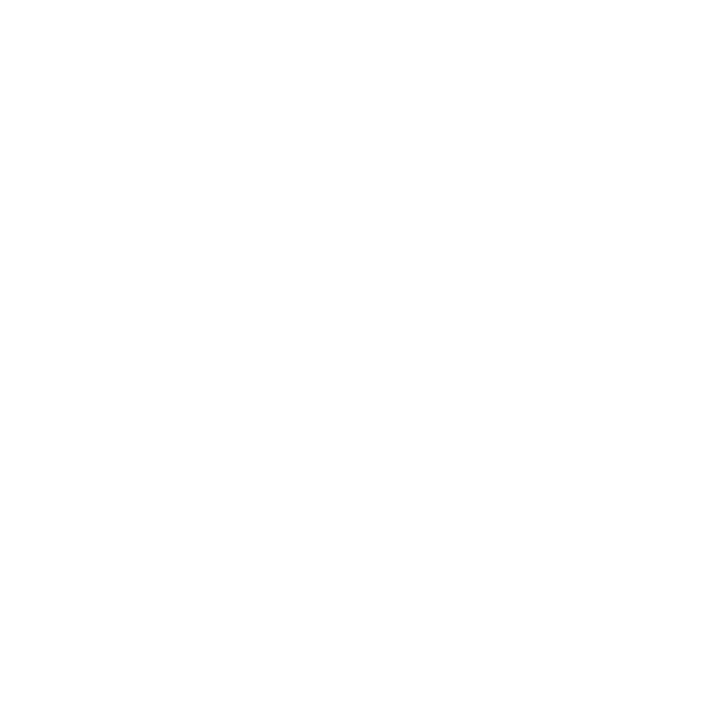 Wordpress Logo White - KibrisPDR