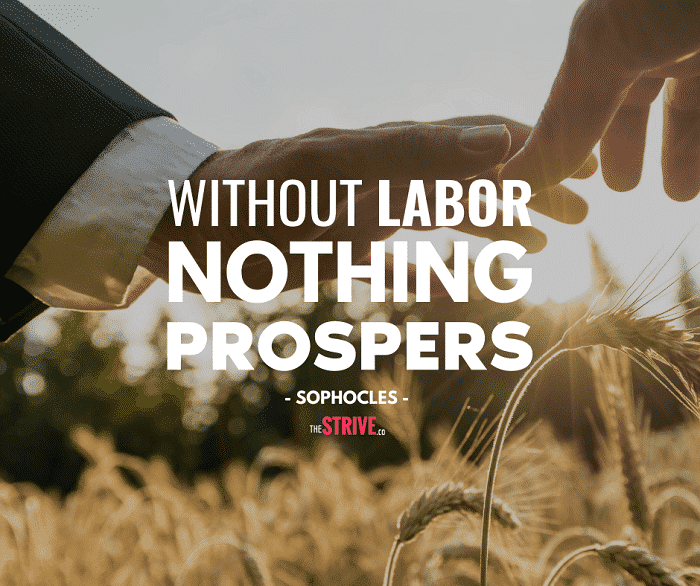 Detail Work Ethic Quotes Nomer 39