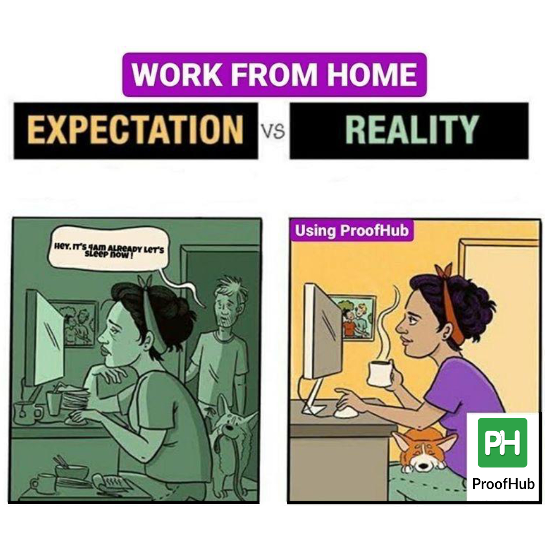 Detail Working From Home Meme Nomer 26
