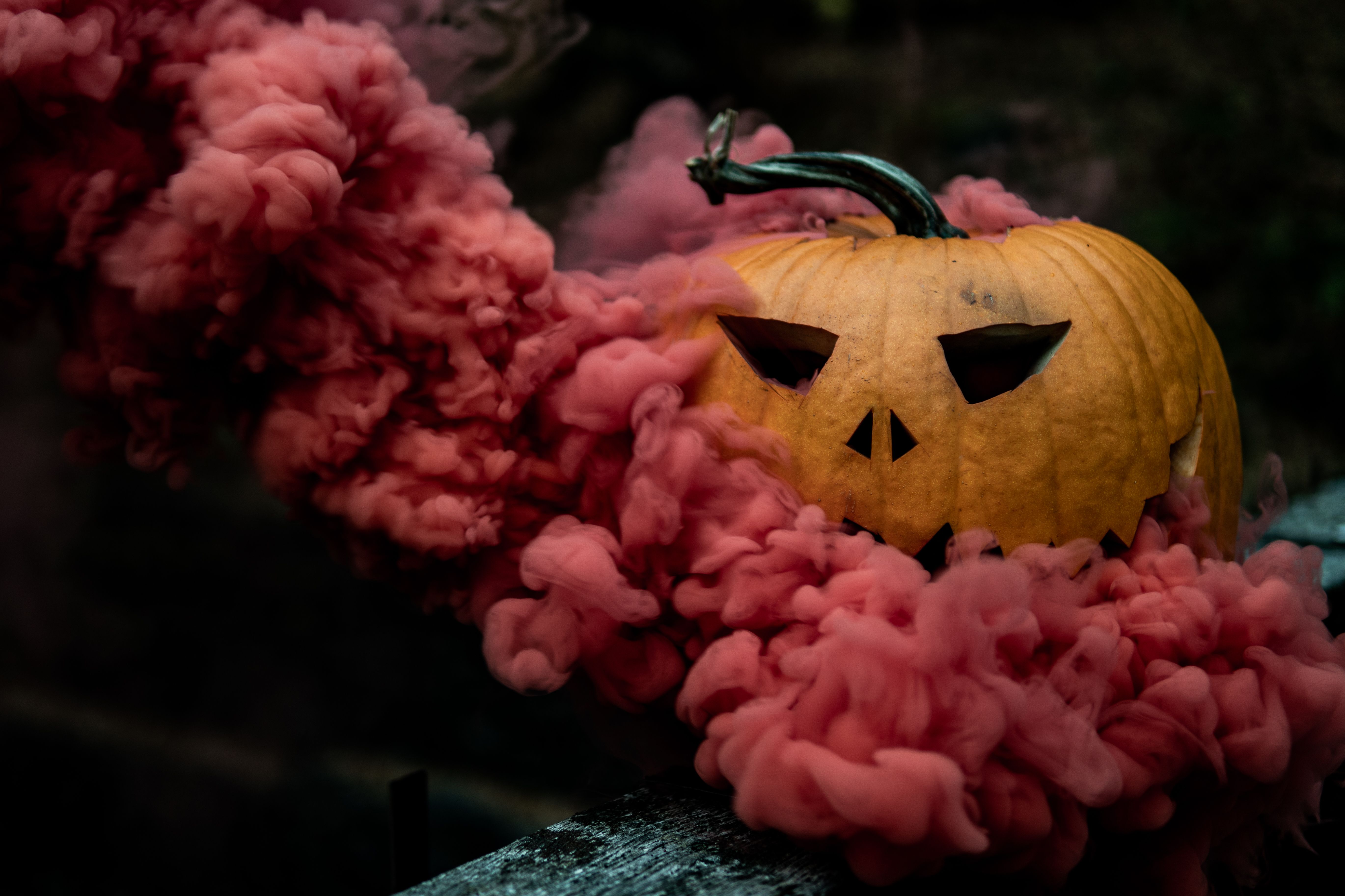 Detail Smoke Bomb Pumpkin Photography Nomer 5