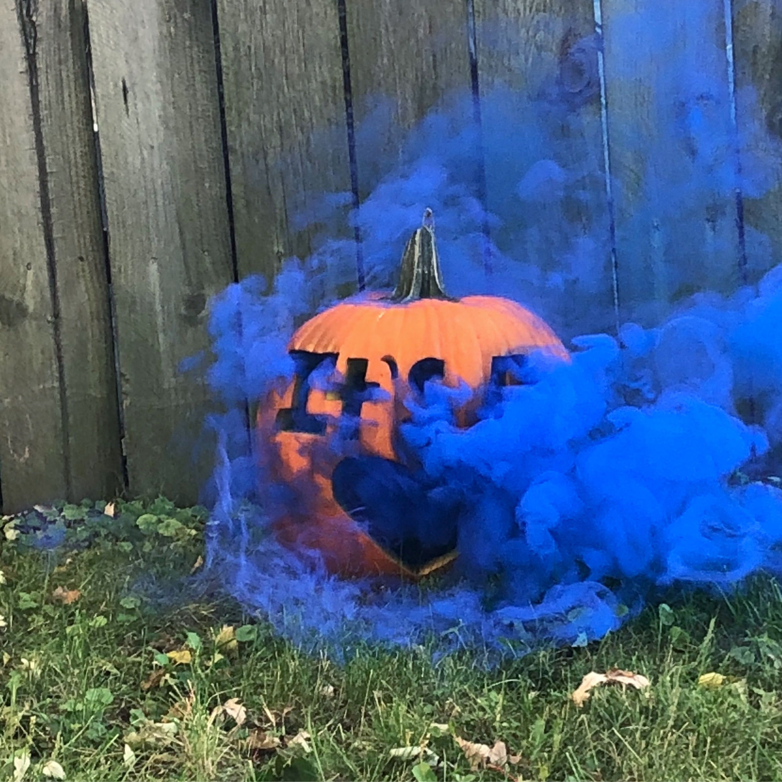 Detail Smoke Bomb Pumpkin Pictures Nomer 56