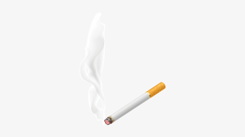Detail Smoking Cigar Png Nomer 47