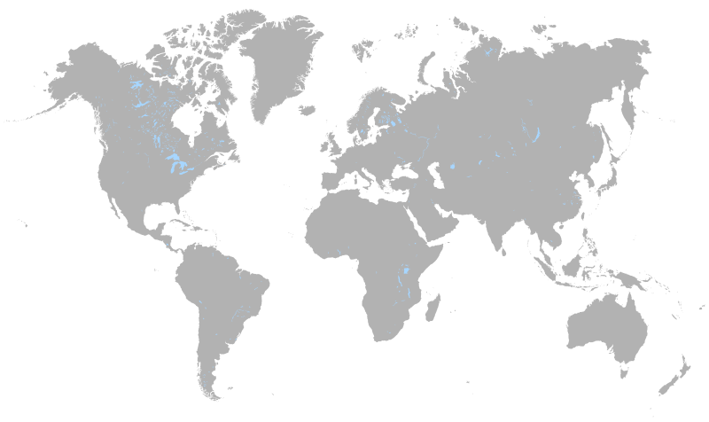 Detail World Map Simple Nomer 18