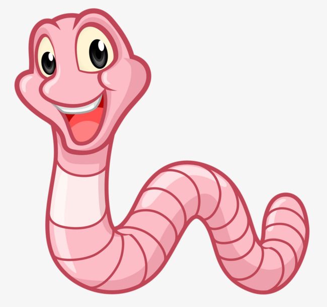 Worm Cartoon Png - KibrisPDR