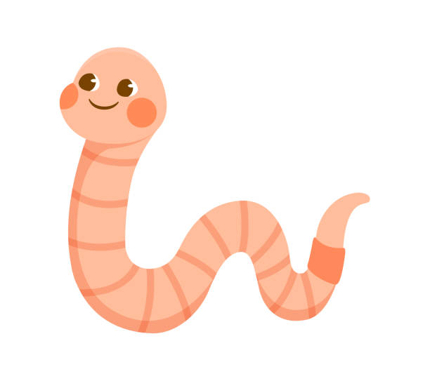 Detail Worm Cartoon Png Nomer 38