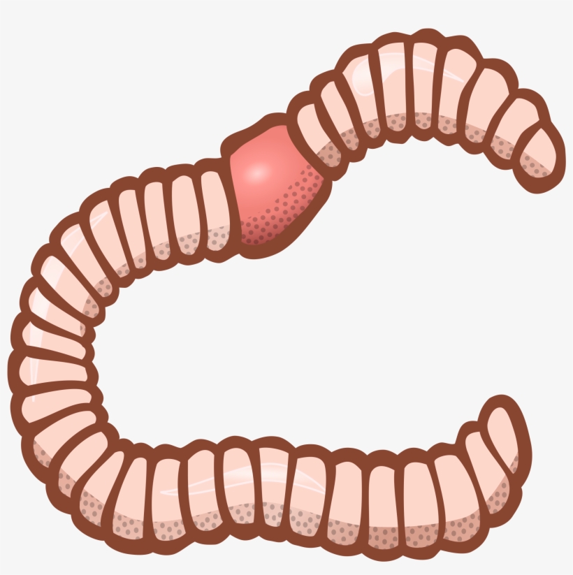 Detail Worm Clipart Nomer 14