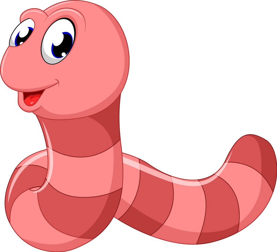 Detail Worm Clipart Nomer 3