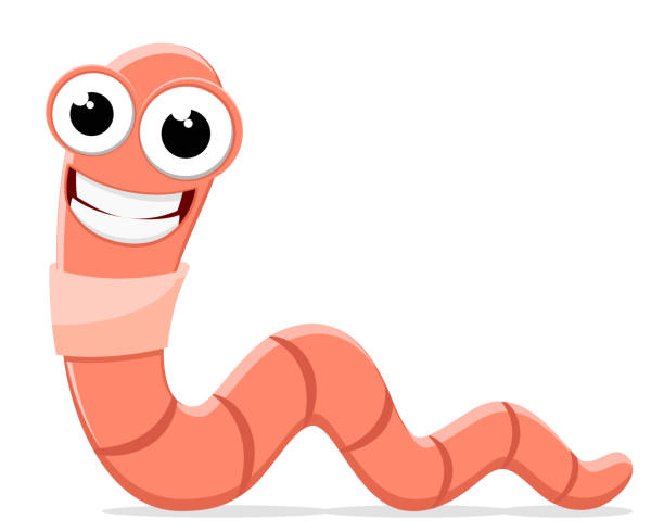 Detail Worm Clipart Nomer 45