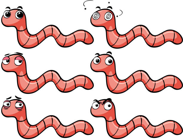 Detail Worm Clipart Nomer 7