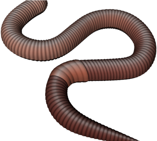 Detail Worm Transparent Background Nomer 42